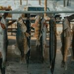 Köderboot: Das Perfekte Werkzeug für Angler